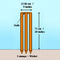 Dimension of Pitch, Stumps and Creases in Cricket