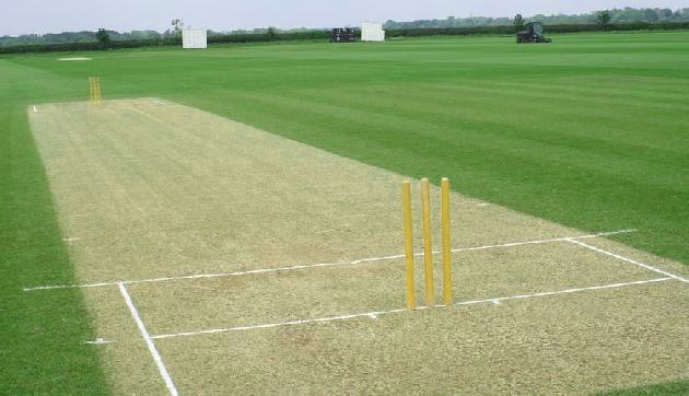 Cricket Pitch Brief