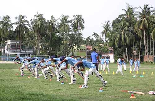 cricket_batting